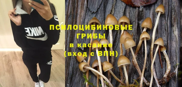 а пвп мука Балахна